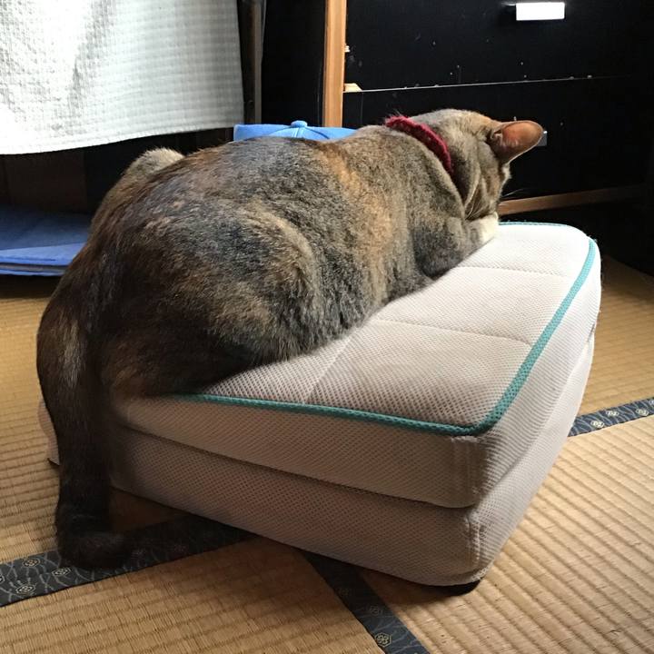 D822f800 a723 4da7 b88a e816fc892896 1598998619584