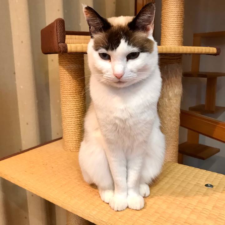 D8230f2c 5999 4d3a 8412 4d8dfbdfa81e 1580724057989