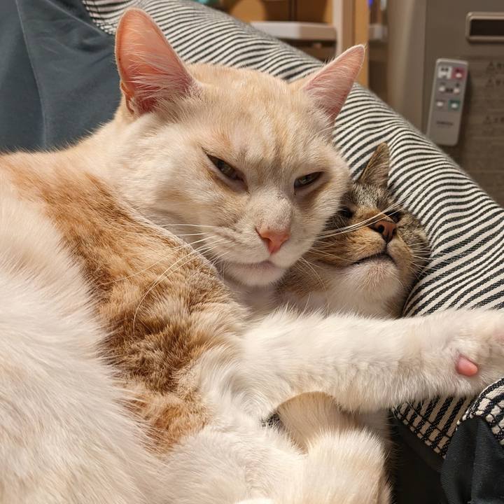 D8232186 e239 4760 9d4a 502b8f06a88a 1706261278185