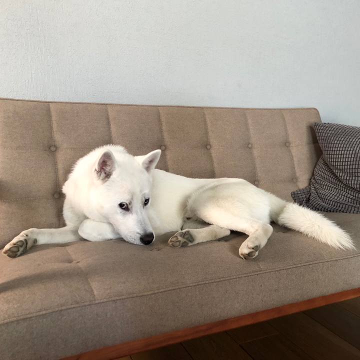 D8232b65 e820 4e56 9b71 450ec08519c9 1526298482331