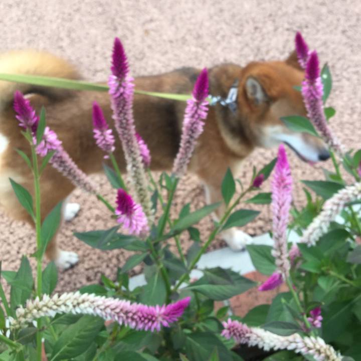 D8233d42 0899 44cb b857 f5aab35bdb3e 1566725192982