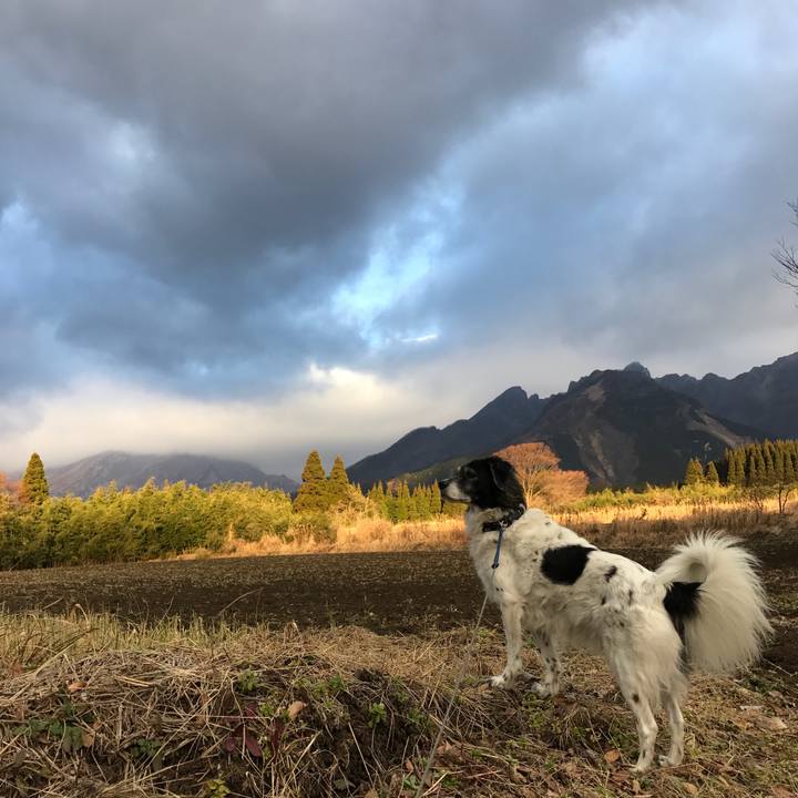 D823455f 424d 4dd5 bc43 cac8dd809c01 1514284184335