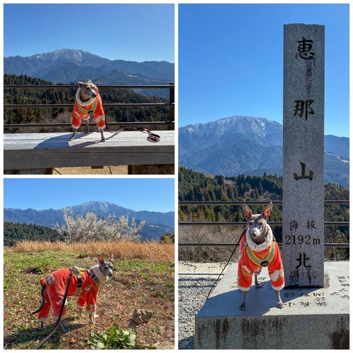 D8237d40 8d9c 424c ba4d 60531a3c80b3 1774347304122