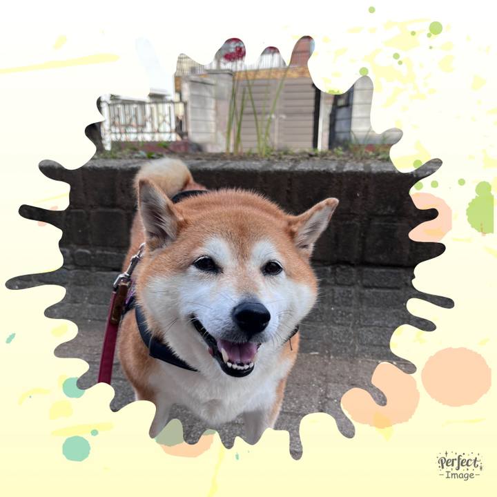 D8238e7e 238c 463a b61c 6d91d1be1db3 1696033444777