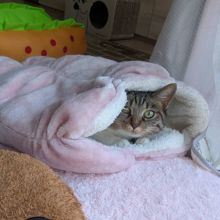 D823d023 73f0 437d a563 f7fcee07c024 1759472442833