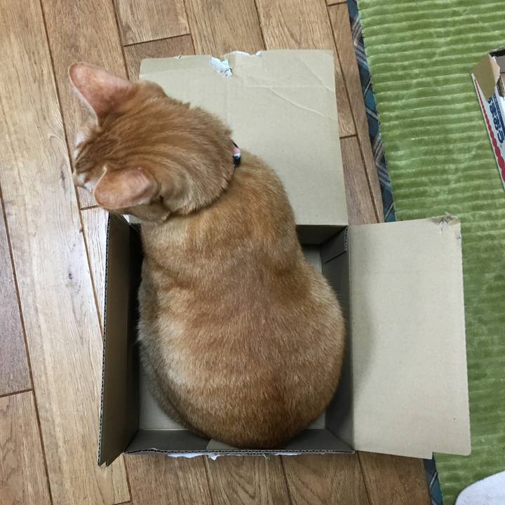 D823f0a8 9e8d 4fa8 9890 8fd9fa895c9e 1551961914268