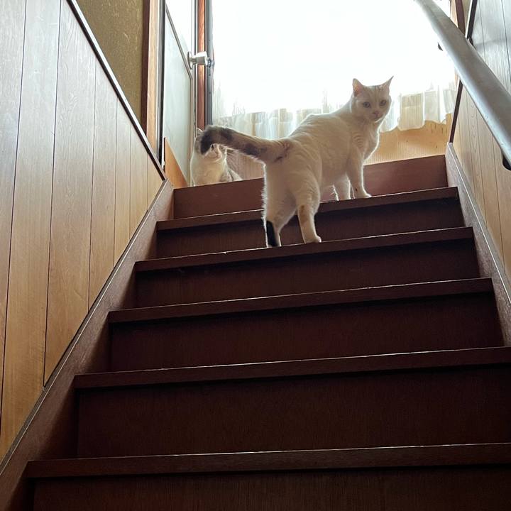 D8243dc2 4e76 485d bc1f c91648d44b7e 1663473815726