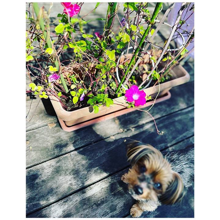 D8245de7 d325 48dc 8c77 07d9a53cd8d8 1664245095798