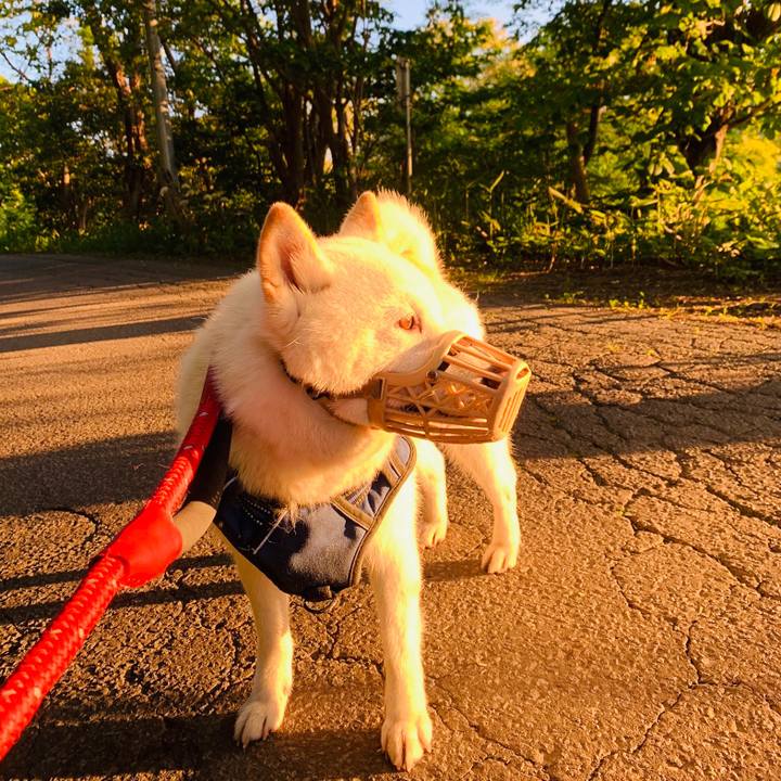 D8246027 f19c 4932 aa57 503c022abcbe 1655239642599