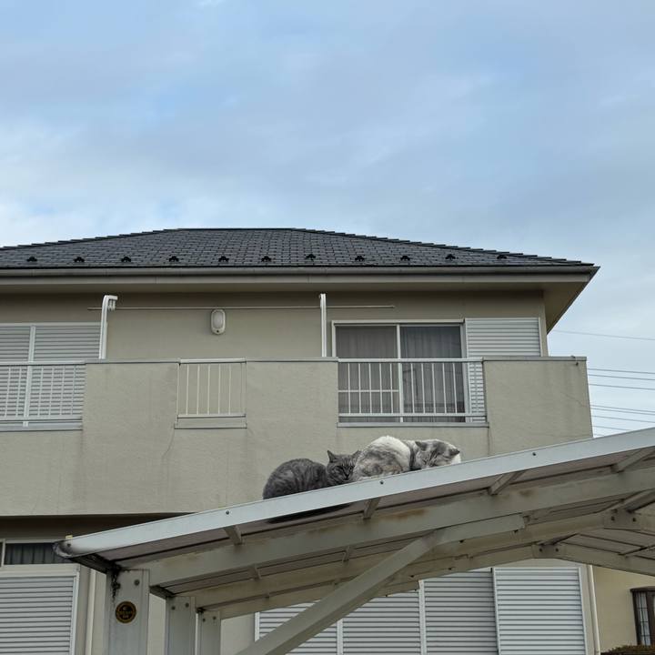 D824a2b2 4bf5 4d78 8526 2952cc46243b 1759804596791