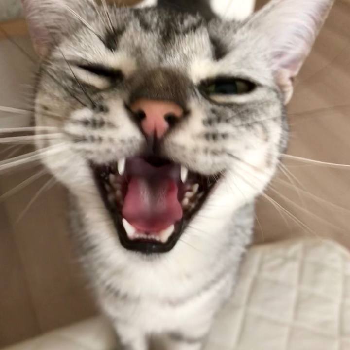 D824d047 b820 4e16 b50f bb1af1a62c0e 1533433694471