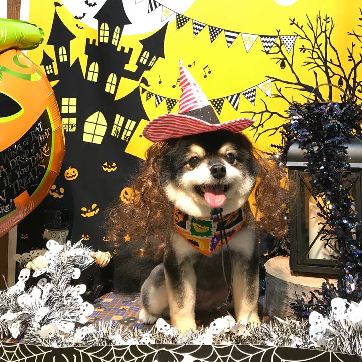 D824dad0 364a 4e87 81d5 9f6f580c8dcf 1540957107670