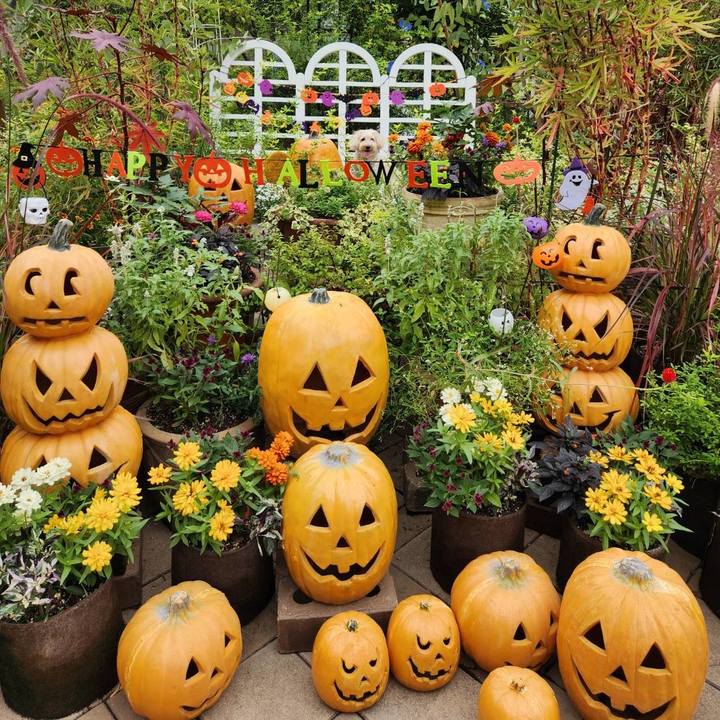 D8251cda 9bec 4de5 b479 d52c4635c7da 1759977855224