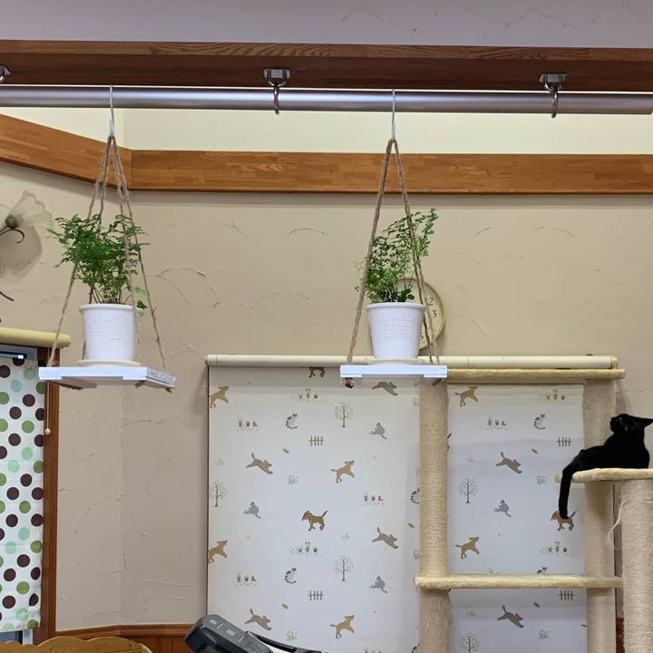 D8252d98 9c3c 4a5b 98db 16cdcc6da5f8 1651494867425