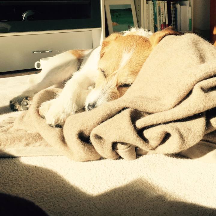 D82582e1 82fb 4ab4 ab07 5d959f7b00c2 1548566617422