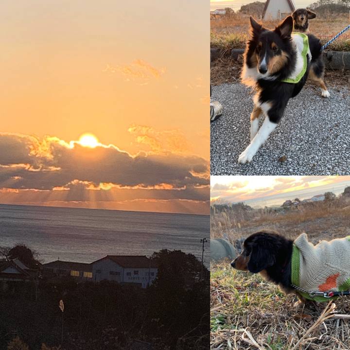 D825d12a 2141 4e77 a90b bfcbcea360b1 1546296838931