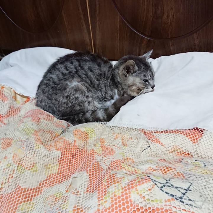 D825e3a8 9e00 4ff7 8a1c e025edea6ed0 1591271369205