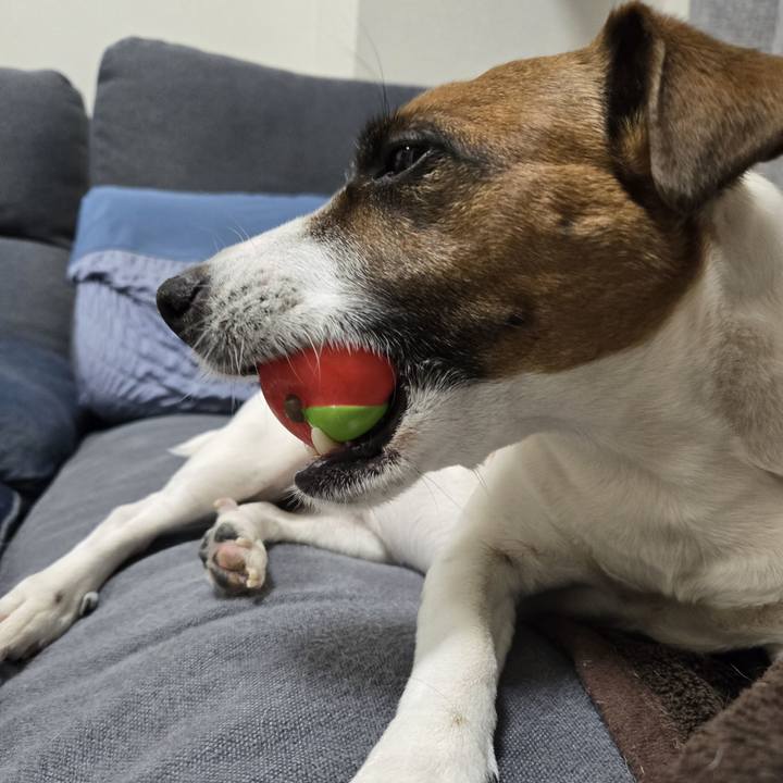 D825e494 f7f4 4f50 be17 57f6b34abeee 1772097452924