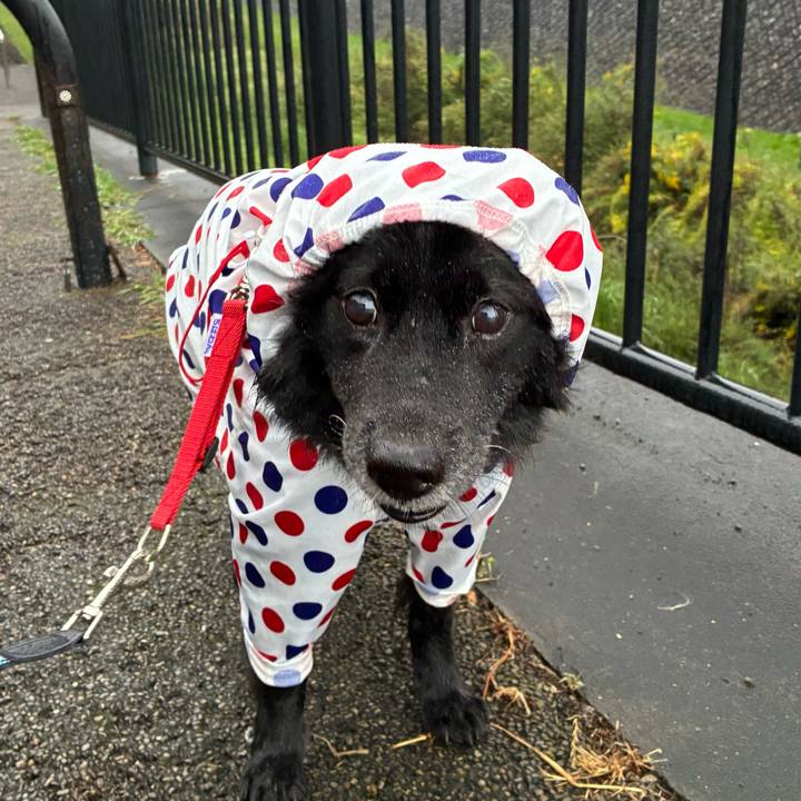 D8260035 968d 4cb4 8b87 c2b79fee6213 1760243776560