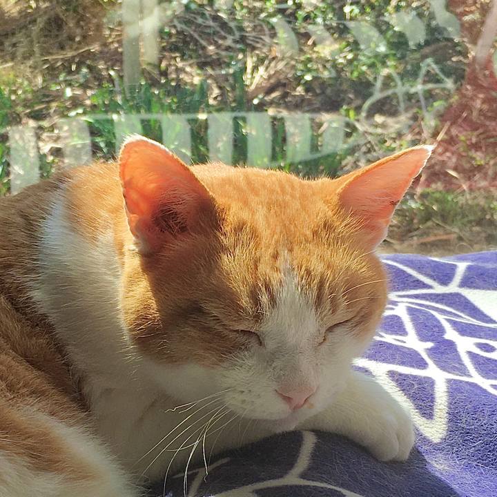 D826023a d257 4947 9aad d0799c1969a4 1584599609017