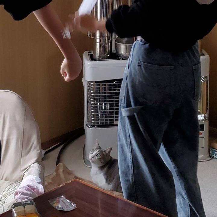 D8261c9b 8134 4f04 abff ee9ddc017425 1713853630970