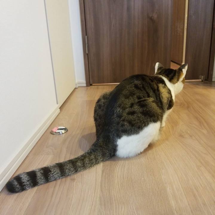 D8265164 4a4d 476a 8a0b eeb9cf04ff38 1580333226963