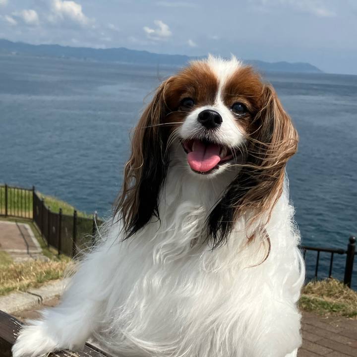 D8267a9a eceb 436f 9456 c92cc35dcf3c 1693110408444