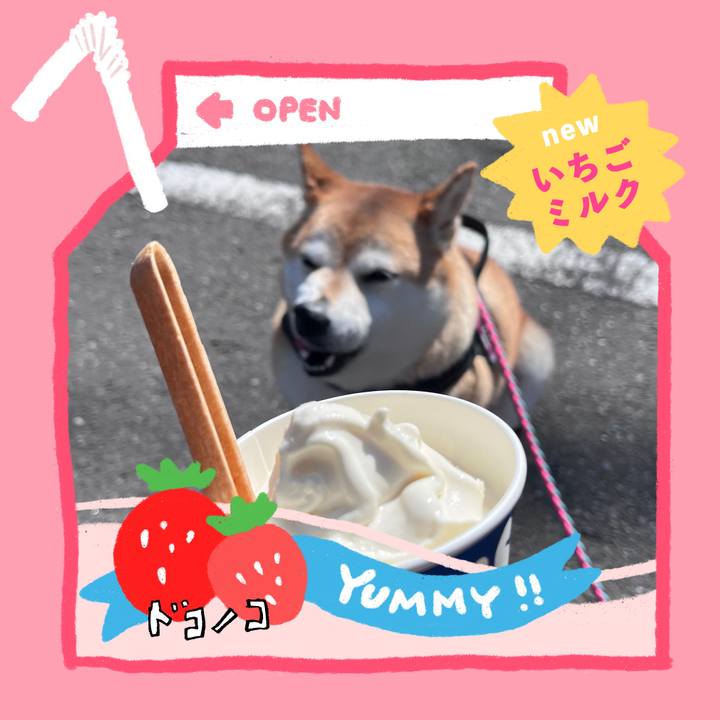 D8268126 228e 4707 8040 ae222dfc7740 1711040521797