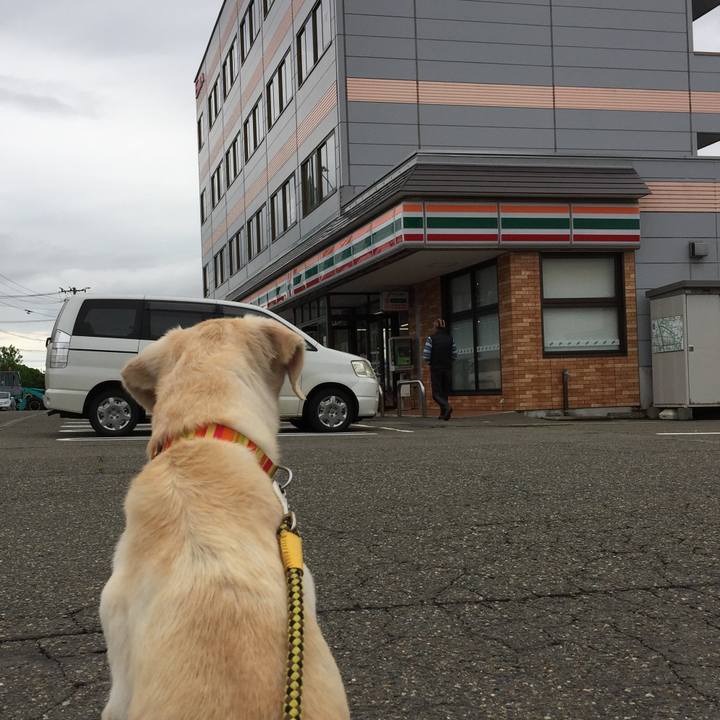 D826a618 bcf6 4f9d ae9b 351bc28db150 1525853016798