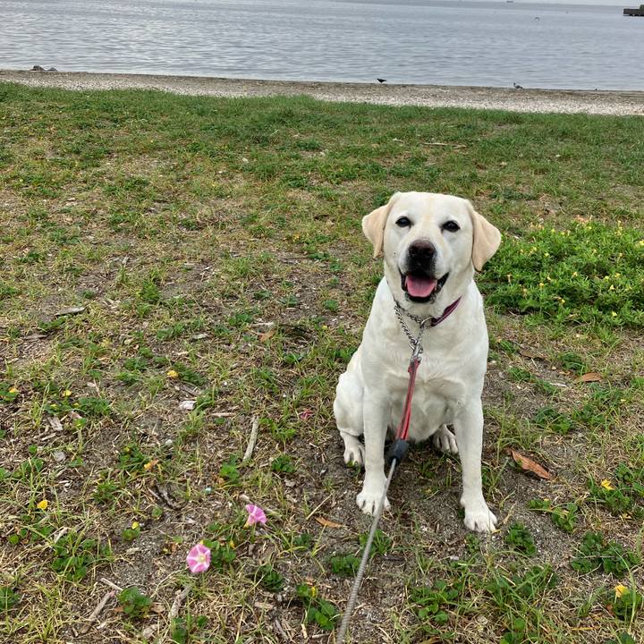 D826ba69 c5ad 4d61 881c 5f026cc3479d 1687495527796