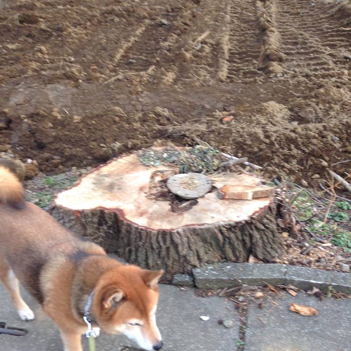 D8274743 a457 4232 8a60 eced37ec6161 1579420263147