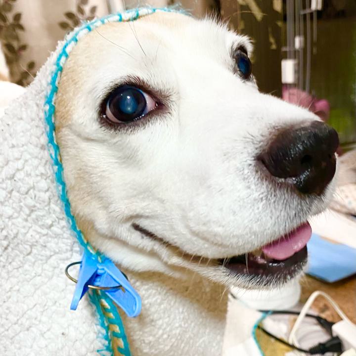 D82750f4 a35e 4881 8e89 bb3320766621 1655267173496