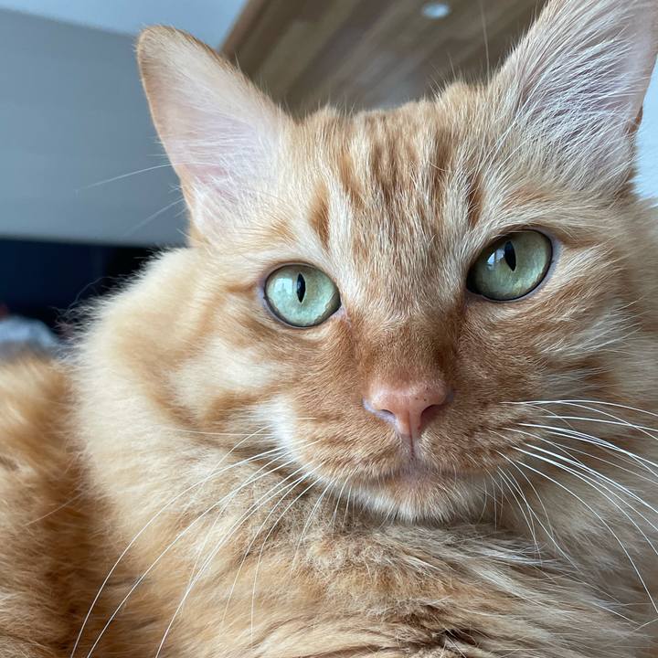 D827593b 31ef 4297 80c4 1a61a9d14bc5 1773984628592