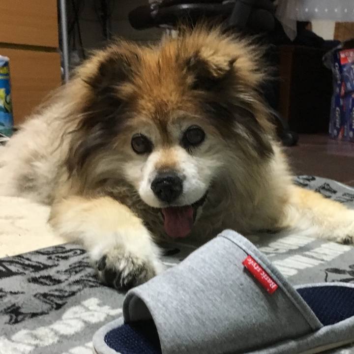 D82764a2 3153 4724 a748 1283367429e2 1589105367932