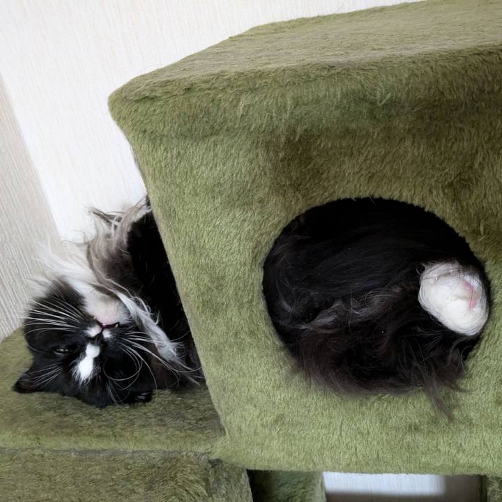 D8276a51 979c 48a1 856f 082898e77a93 1735346035635