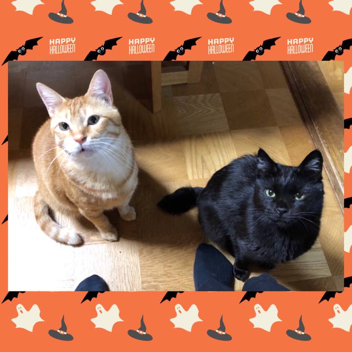 D8276d21 a2cd 44bc 9eda 50a7159b8635 1569327459206