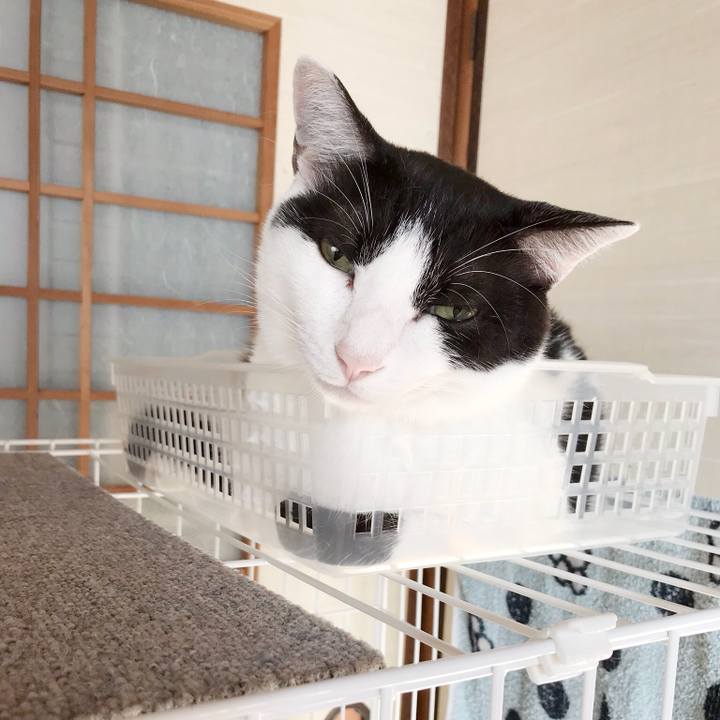 D82780ed 6e35 4c12 b1db 7770d3145b32 1536626188049