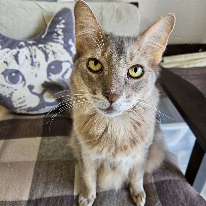 D827a02f 31c6 42f3 8c48 95b5eaa842a2 1729421826989