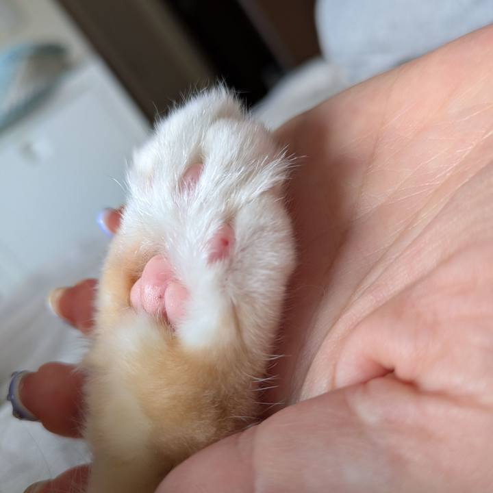 D827c739 4907 470e 9ba6 a5878c795cc0 1747284214517