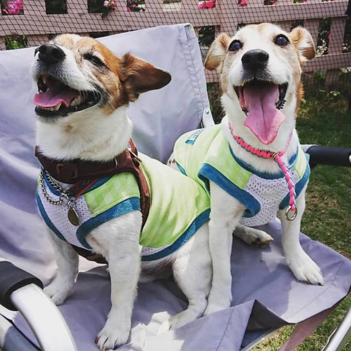 D827e80a b278 430c 8764 e2324f68dbd5 1561471903511