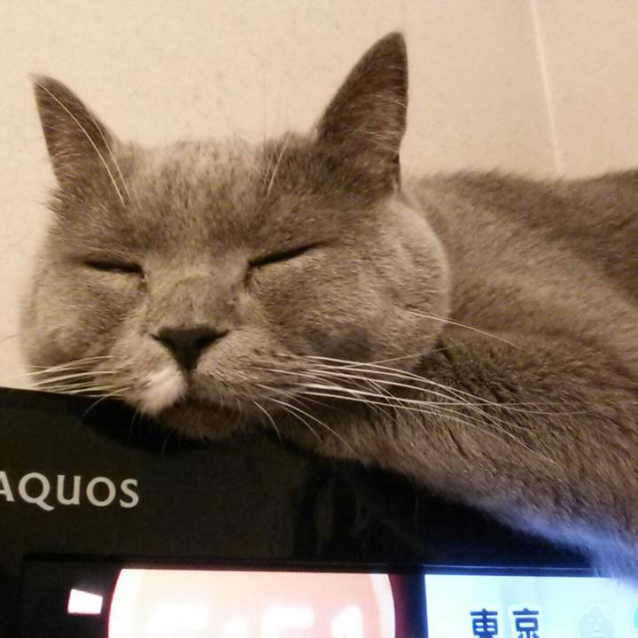 D8281416 ba14 4156 afea c311d7df3846 1561934027336