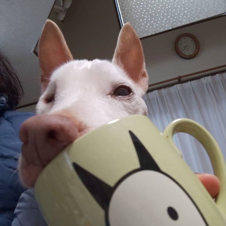 D8283988 ef39 4347 961e 4d49bed89b64 1581724165701