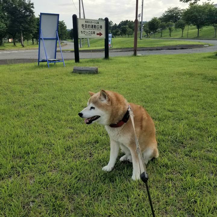 D828b0ef 9add 4a1e 91d6 9f8d75af71d3 1720772807689