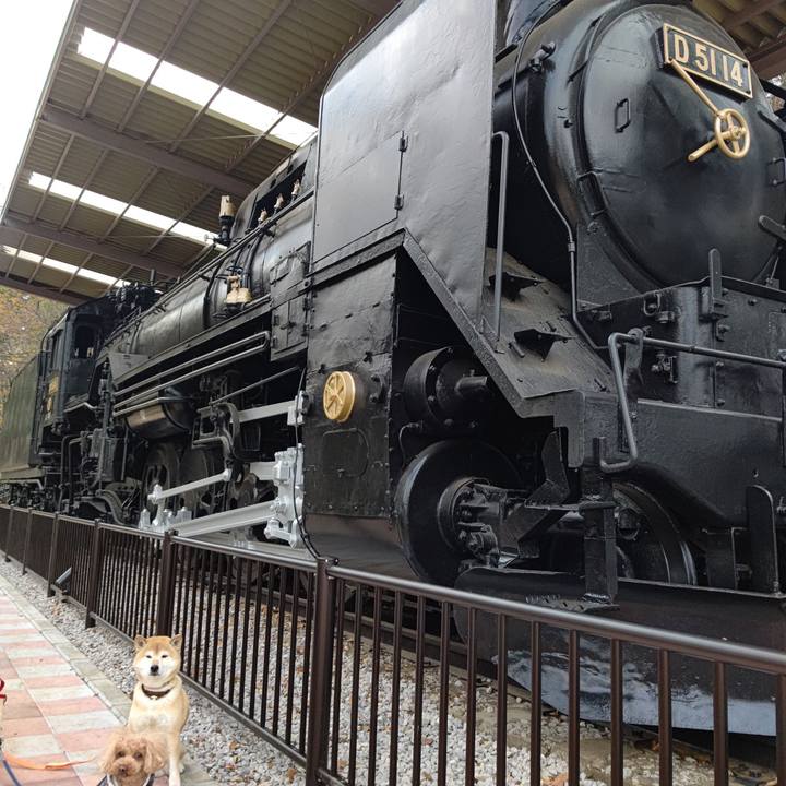 D828d7ca 9853 4544 ae70 0179e6f45796 1607413763224