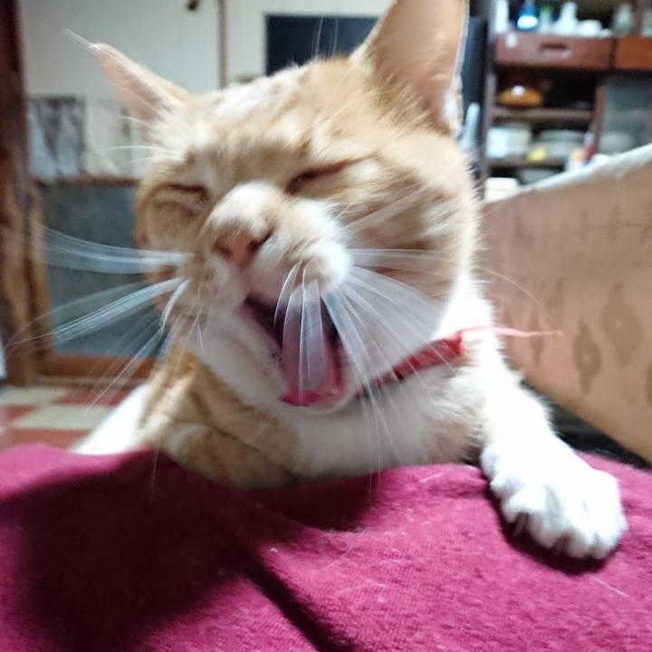 D828d92c 5d9b 41d6 b23f e8f7f8893ed8 1571346091133