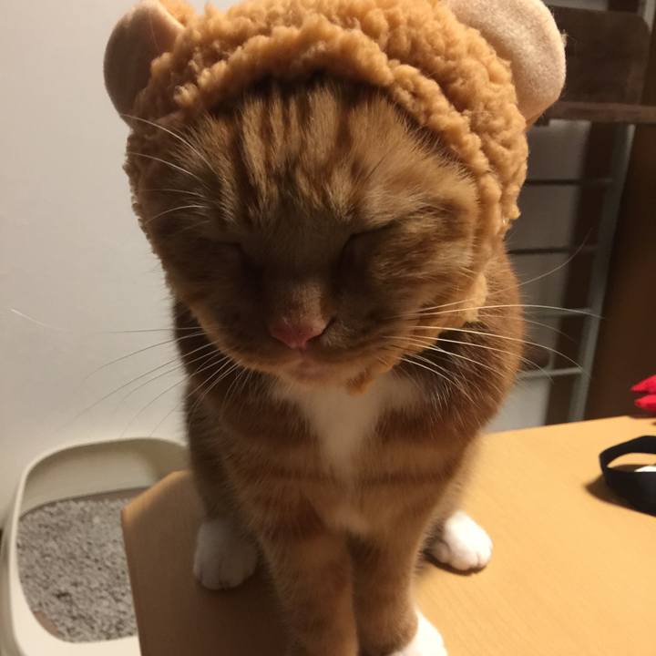 D828f181 3a18 4906 a220 3681df8001ed 1547596941290