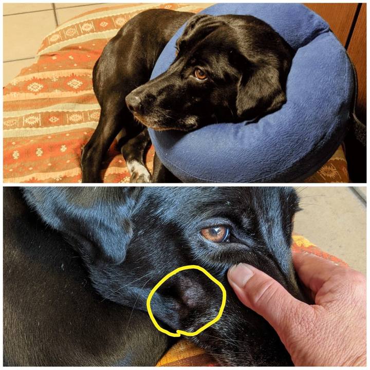 D828ff1b 7705 4518 8f3f 12c567ecab52 1630114347280