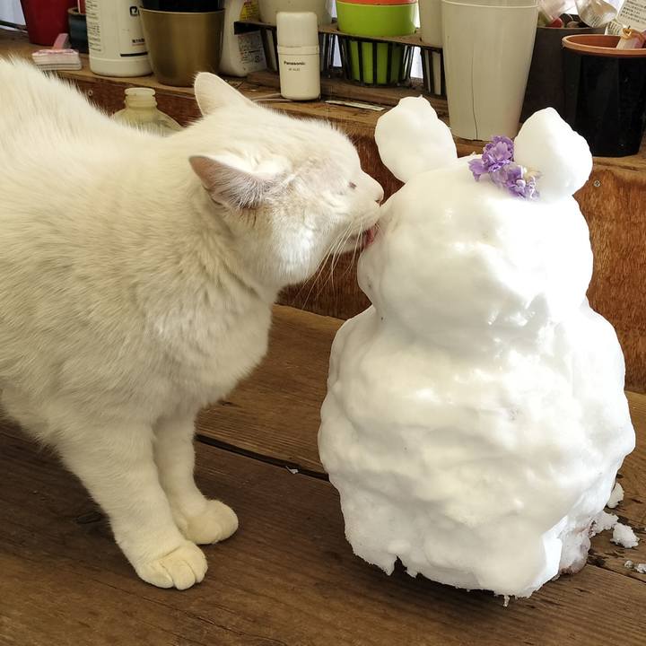 D8290f91 3aec 48da b25a 3561bd31454c 1770622713121