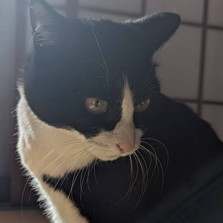 D8294d94 ce89 4f4c b871 e92053bc75c0 1702273782156