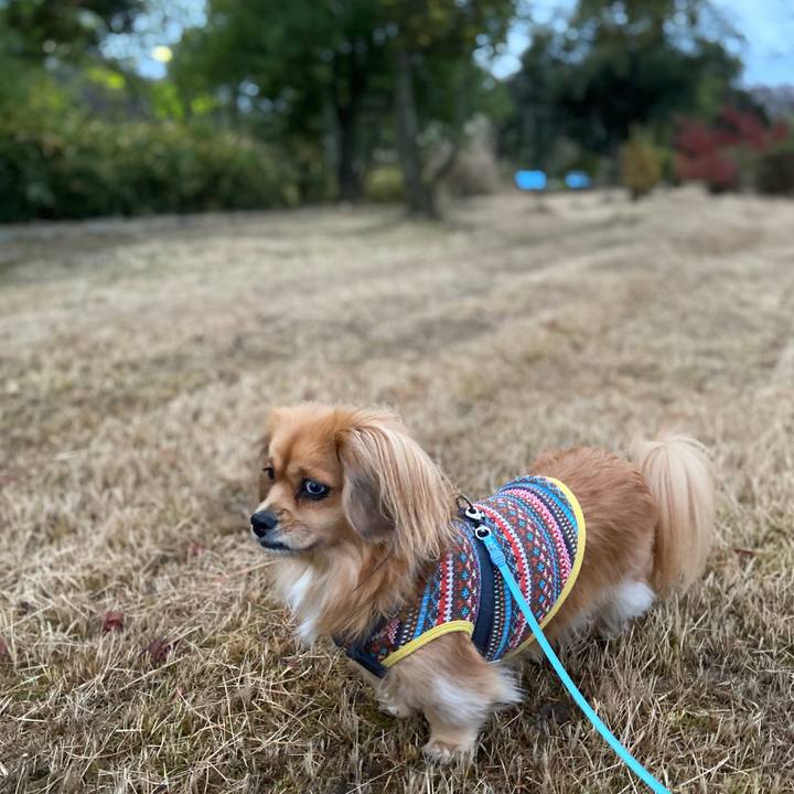 D8295f22 2b35 4f7b a9ba 2838c90beb75 1575585243706